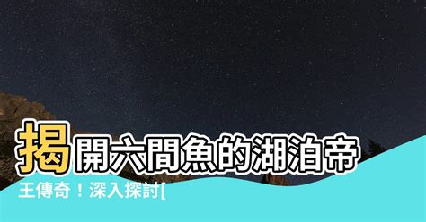 皇冠六間|「慈鯛科」六間詳細分類總共12種